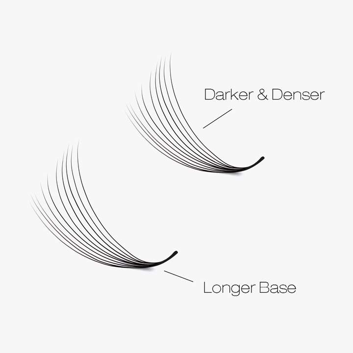 10D LASHBOOK Narrow Promade Volume Fans - 1000 Fans