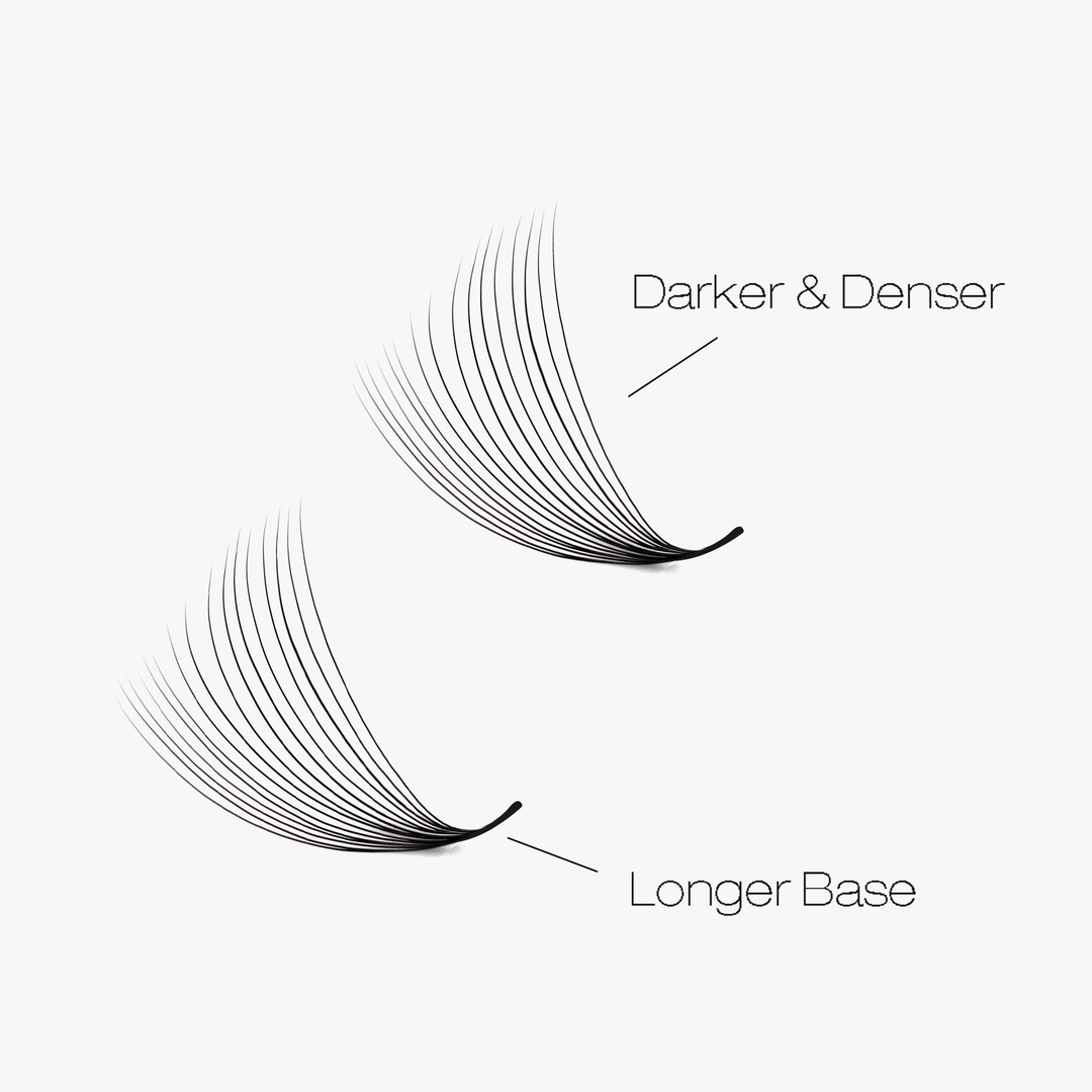 16D LASHBOOK Narrow Promade Volume Fans - 1000 Fans