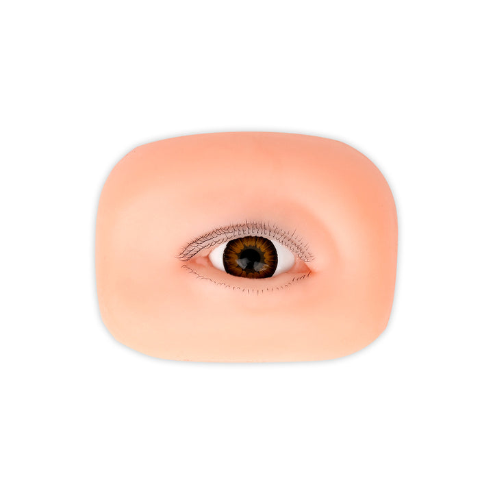 Triple layered practice mannequin eyes (2 Eyes/Pack)