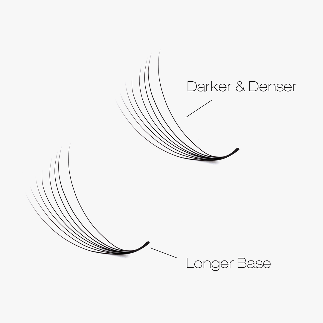 6D LASHBOOK Narrow Promade Volume Fans - 1000 Fans