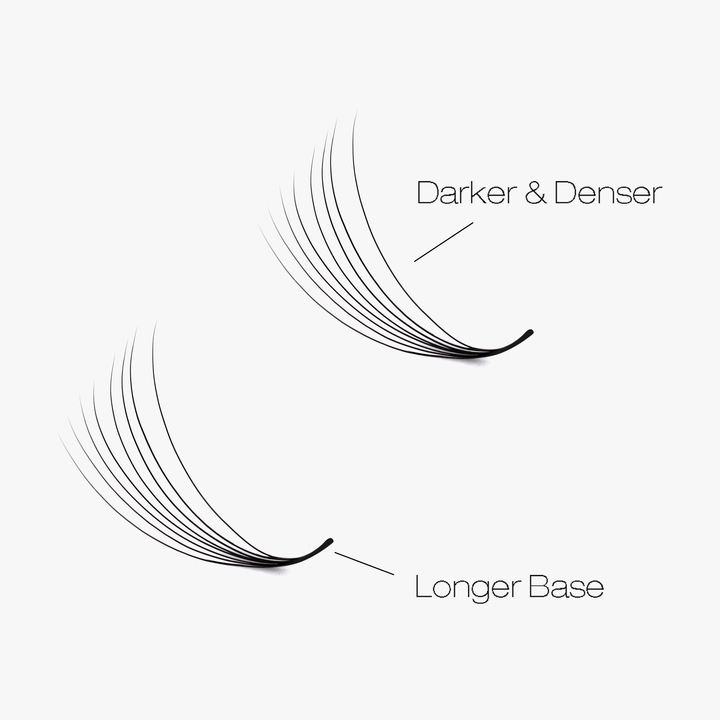 6D LASHBOOK Narrow Promade Volume Fans - 1000 Fans