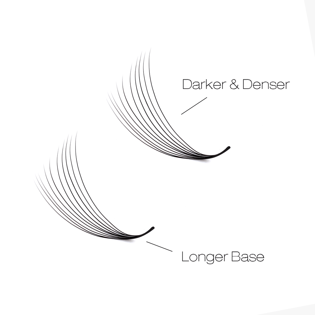 8D LASHBOOK Narrow Promade Volume Fans - 1000 Fans