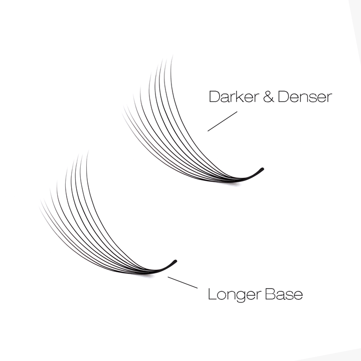 8D LASHBOOK Narrow Promade Volume Fans - 1000 Fans