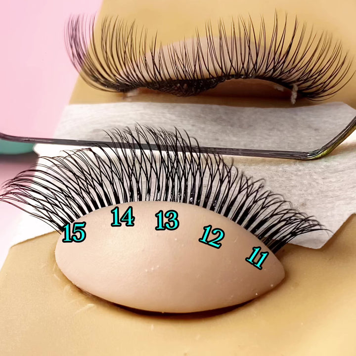 U-Shape Double Layer 3D W Lashes